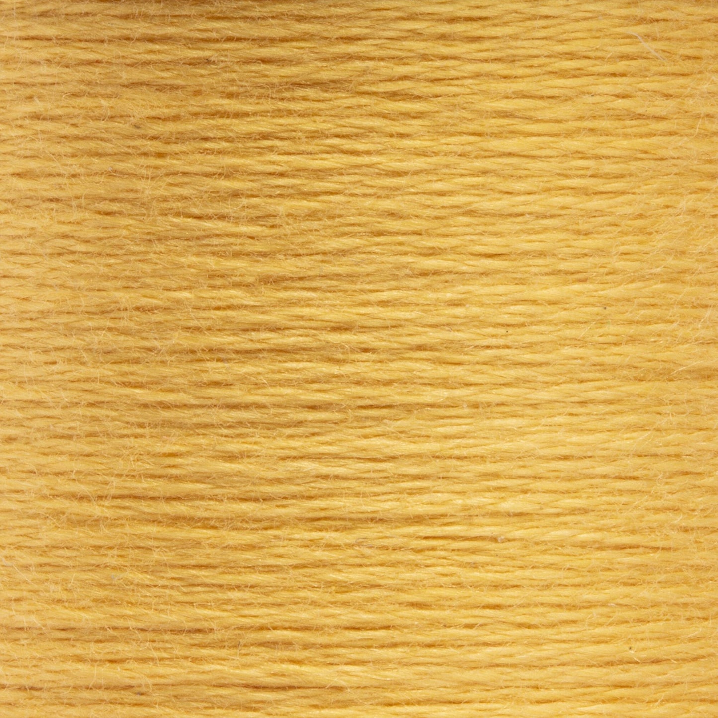 AN Spooled Floss 10 Meters (6 Pack) - Clearance shades
