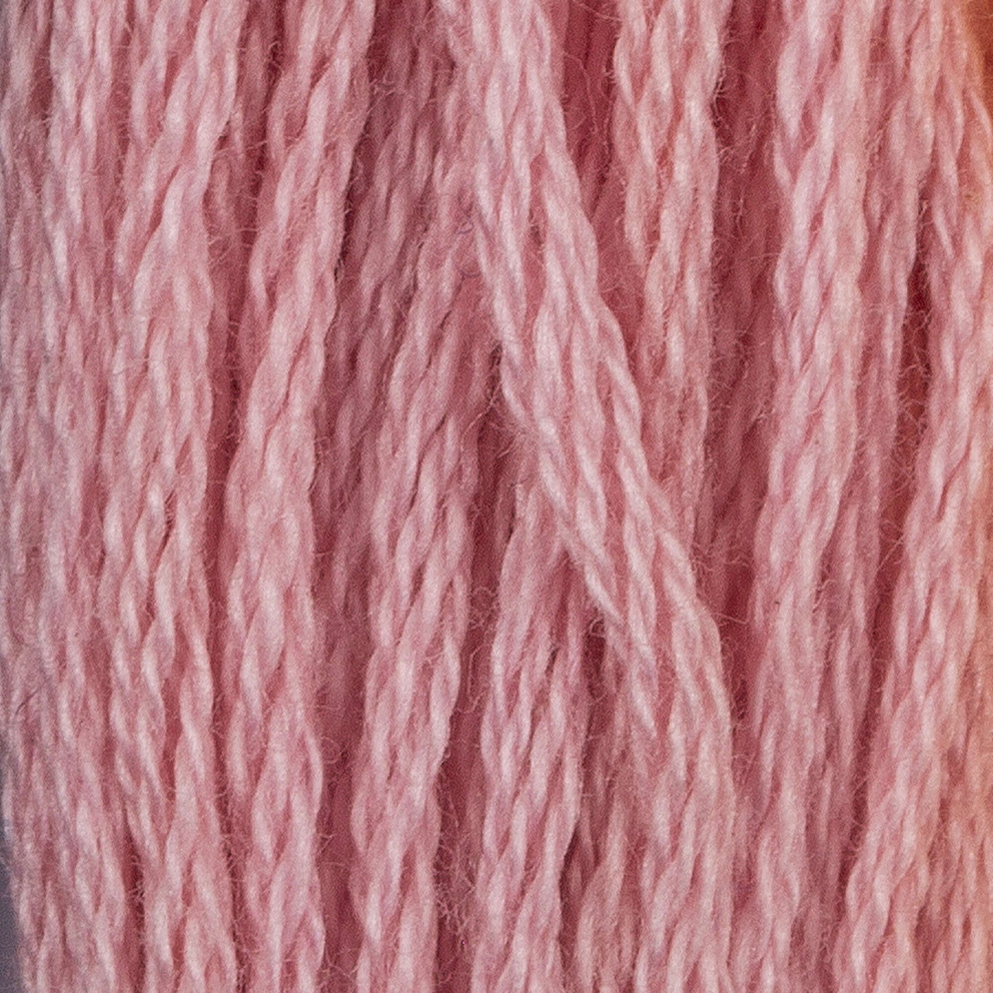 CC Cotton Embroidery Floss