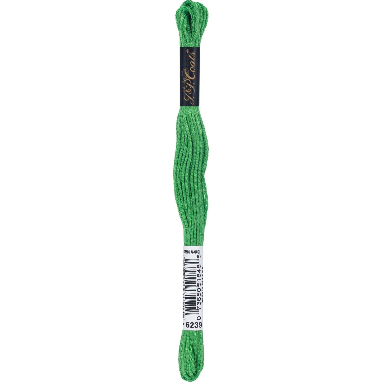 CC Cotton Embroidery Floss