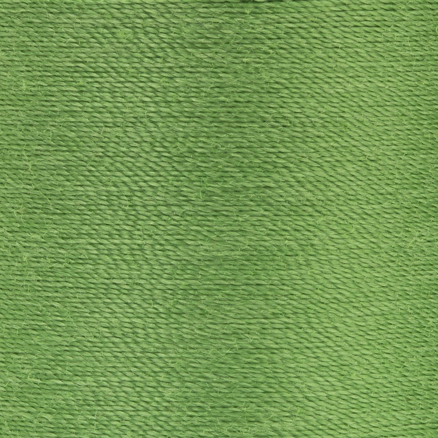 CC Dual Duty XP All Purpose Thread (250 Yards) 2