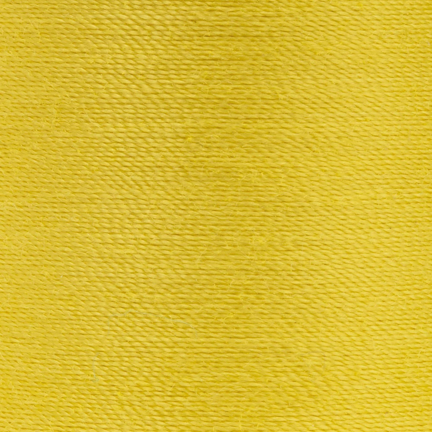 CC Dual Duty XP All Purpose Thread (250 Yards) 2