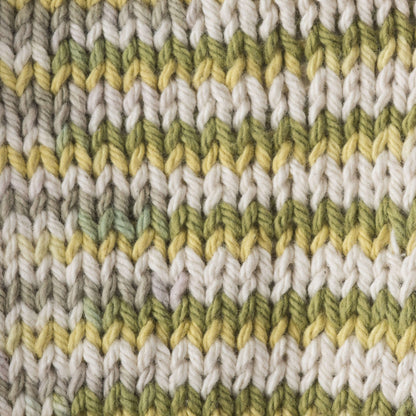 Lily Sugar'n Cream Ombres Yarn