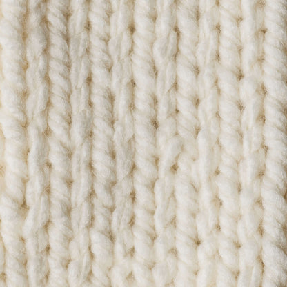 Bernat Softee Chunky Yarn (100g/3.5oz)