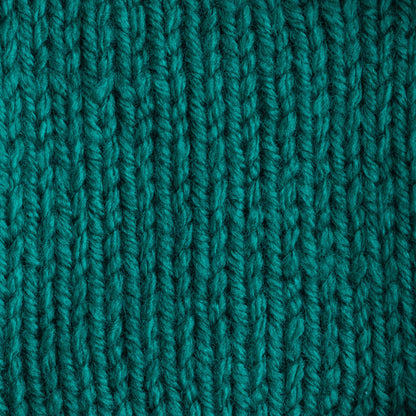 Bernat Premium Yarn