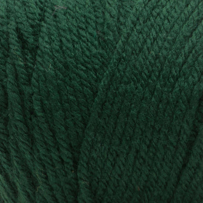 Bernat Premium Yarn