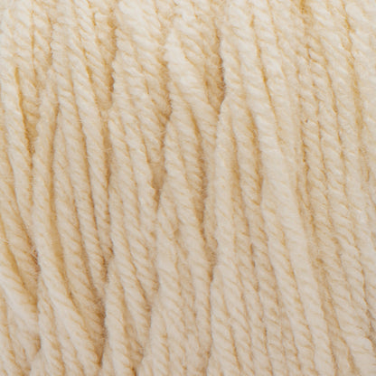 Bernat Premium Yarn