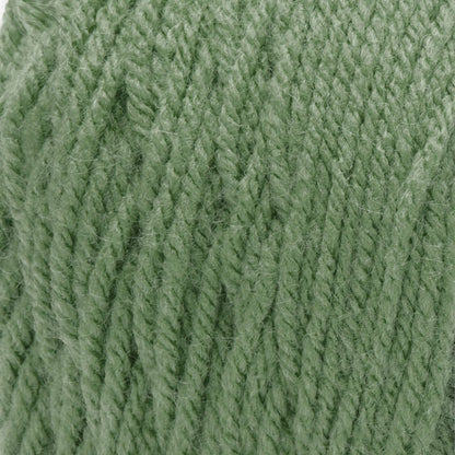 Bernat Premium Yarn