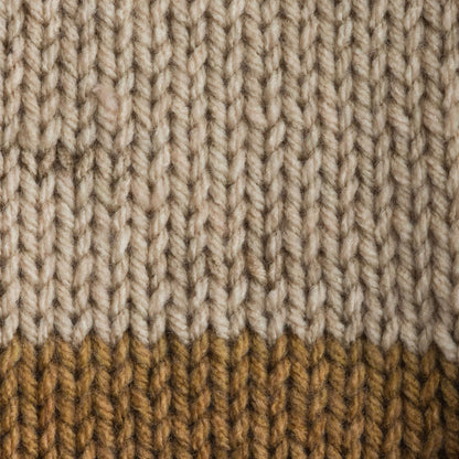 Bernat Super Value Stripes Yarn