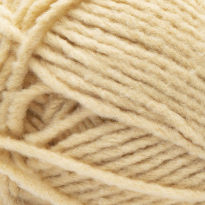 Bernat Forever Fleece Yarn