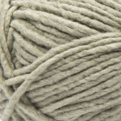 Bernat Forever Fleece Yarn