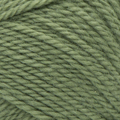 Patons Classic Wool Worsted Yarn