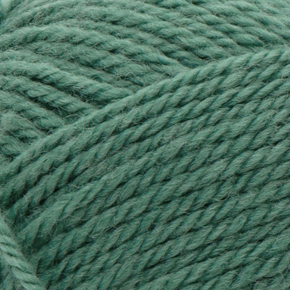Patons Classic Wool Worsted Yarn