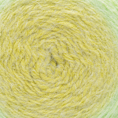 Caron Colorama Halo Yarn (500g/17.6oz)