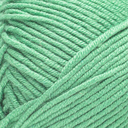 Caron Simply Me Yarn (200g/7oz)