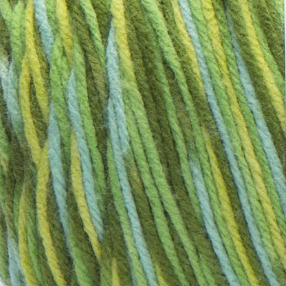 Caron Jumbo Yarn