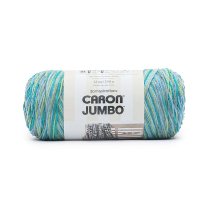 Caron Jumbo Yarn