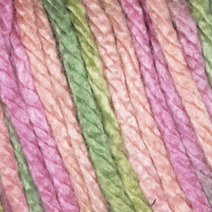 Caron Simply Soft Paints Yarn