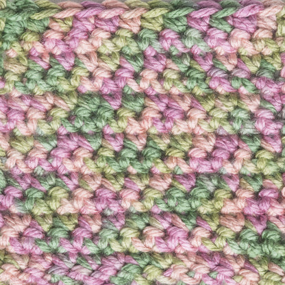 Caron Simply Soft Paints Yarn