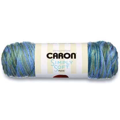 Caron Simply Soft Paints Yarn