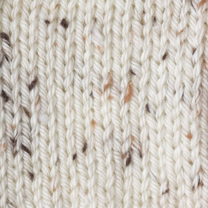 Caron Simply Soft Tweeds Yarn