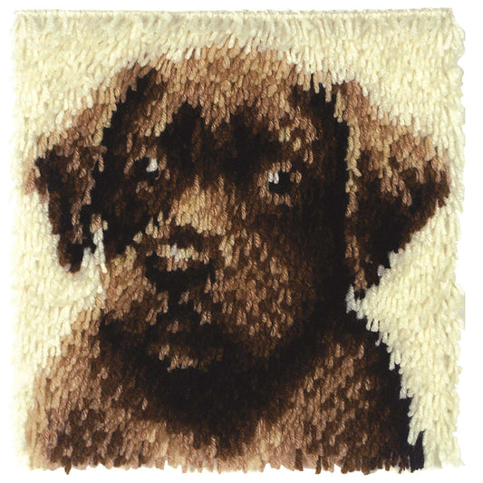WO Chocolate Lab Kit 12" x 12", Clearance items