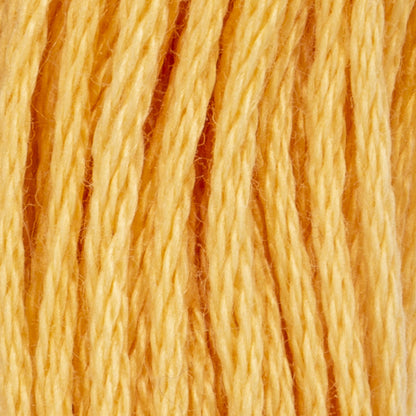 AN Stranded Cotton - Clearance shades