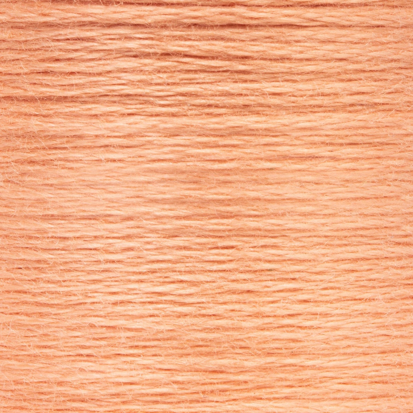 AN Spooled Floss 10 Meters (6 Pack) - Clearance shades