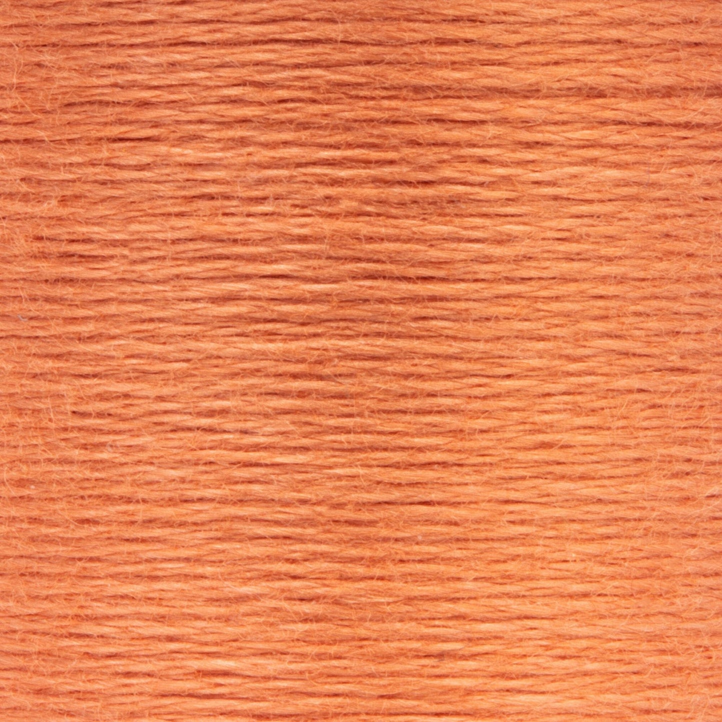 AN Spooled Floss 10 Meters (6 Pack) - Clearance shades