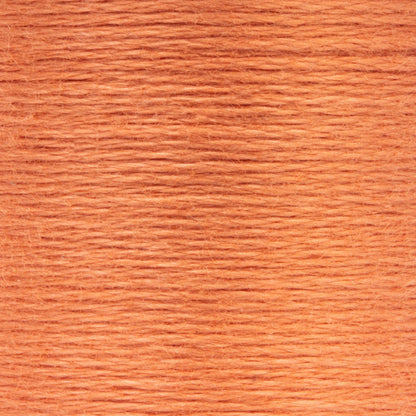 AN Spooled Floss 10 Meters (6 Pack) - Clearance shades