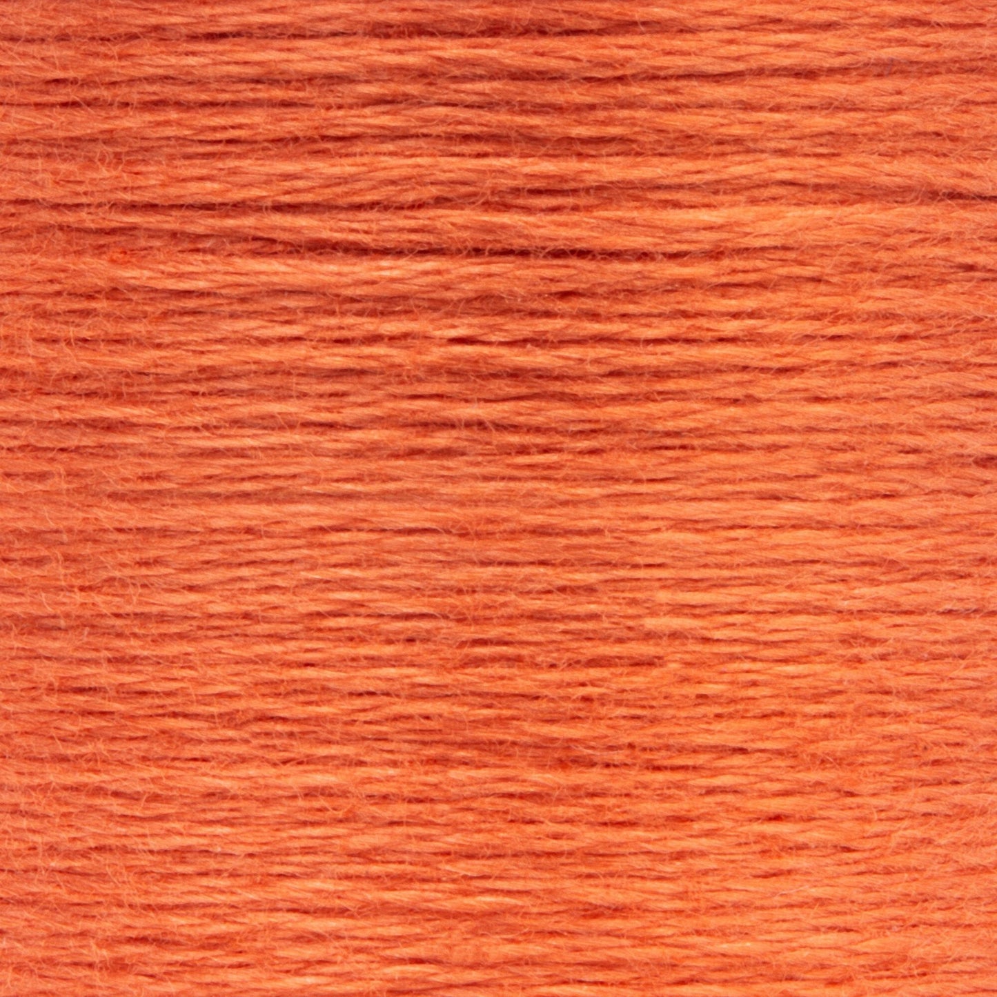 AN Spooled Floss 10 Meters (6 Pack) - Clearance shades