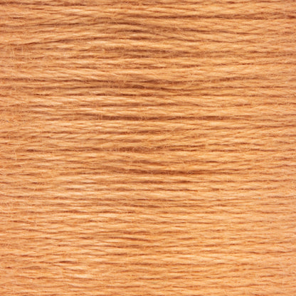 AN Spooled Floss 10 Meters (6 Pack) - Clearance shades