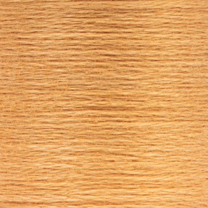 AN Spooled Floss 10 Meters (6 Pack) - Clearance shades
