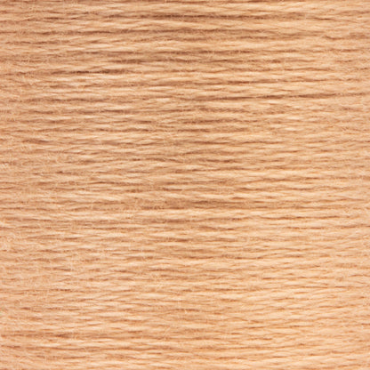 AN Spooled Floss 10 Meters (6 Pack) - Clearance shades