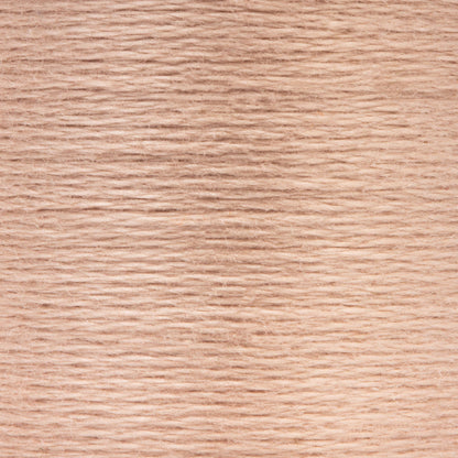 AN Spooled Floss 10 Meters (6 Pack) - Clearance shades