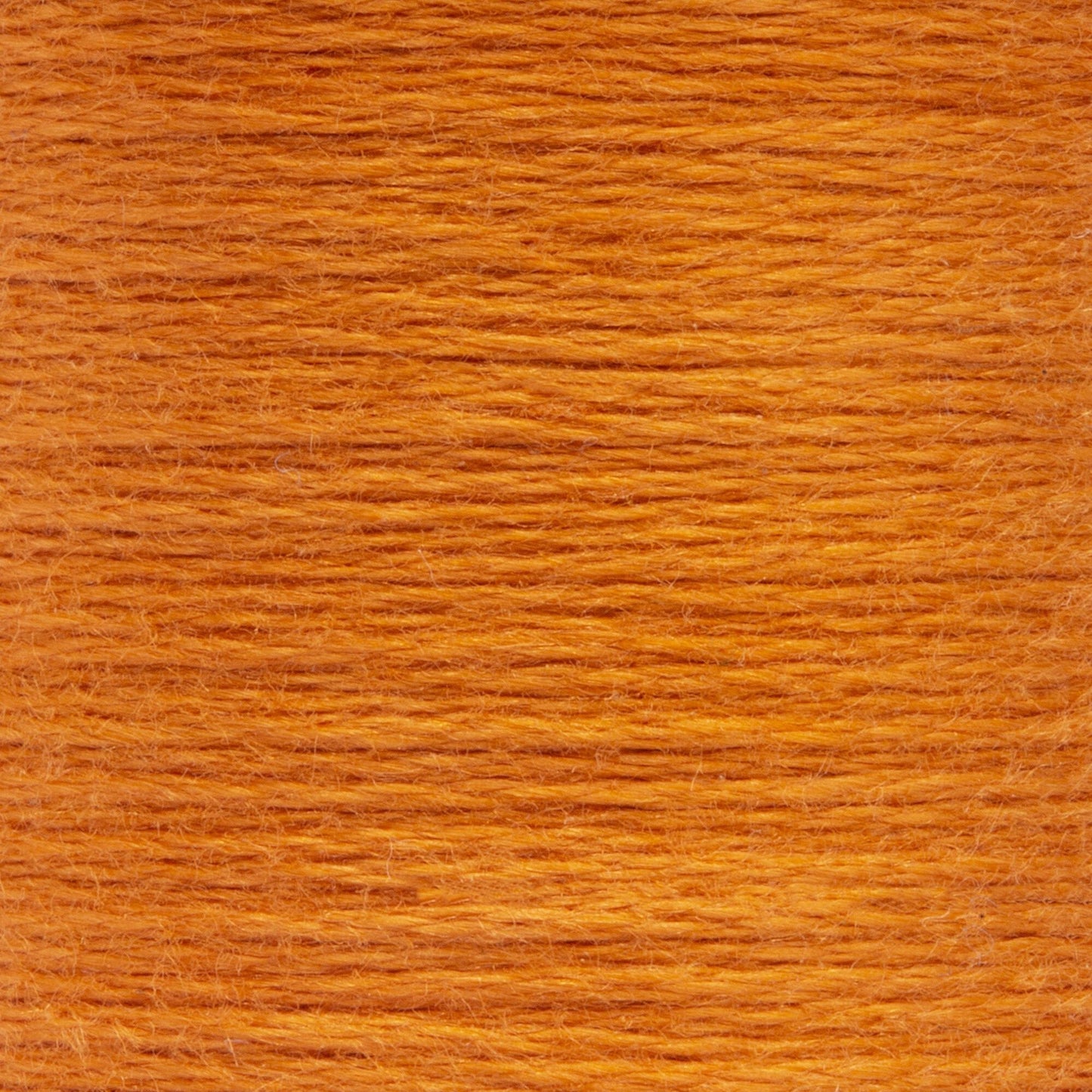 AN Spooled Floss 10 Meters (6 Pack) - Clearance shades
