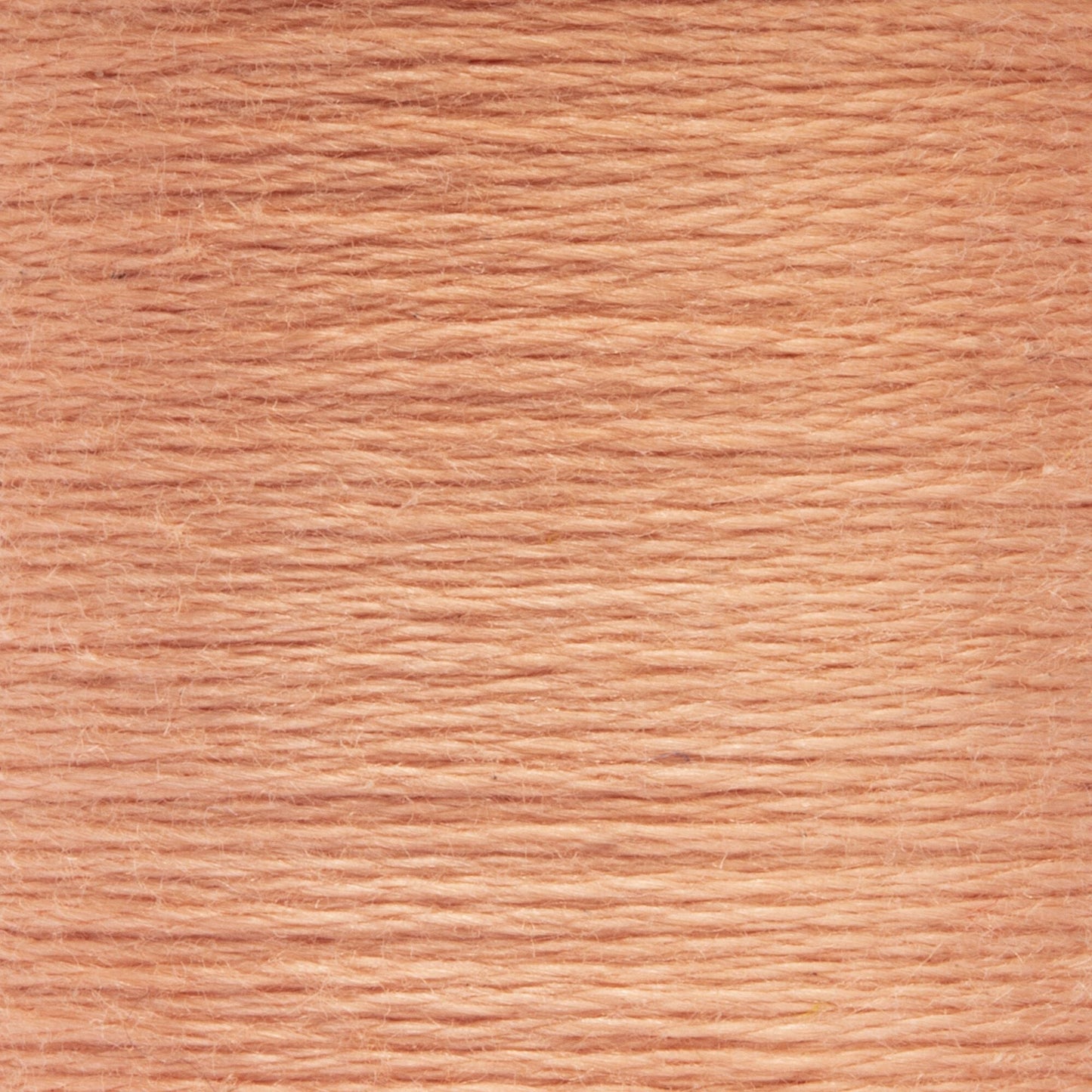 AN Spooled Floss 10 Meters (6 Pack) - Clearance shades