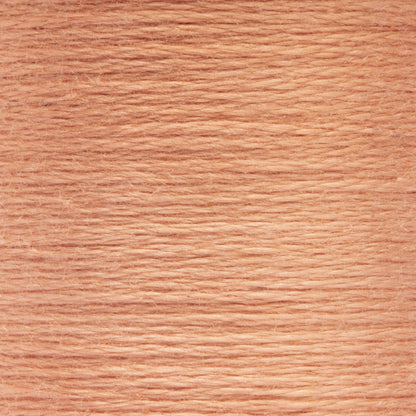 AN Spooled Floss 10 Meters (6 Pack) - Clearance shades