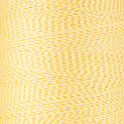 CC Professional Machine Quilting Thread (3000 Yards)
