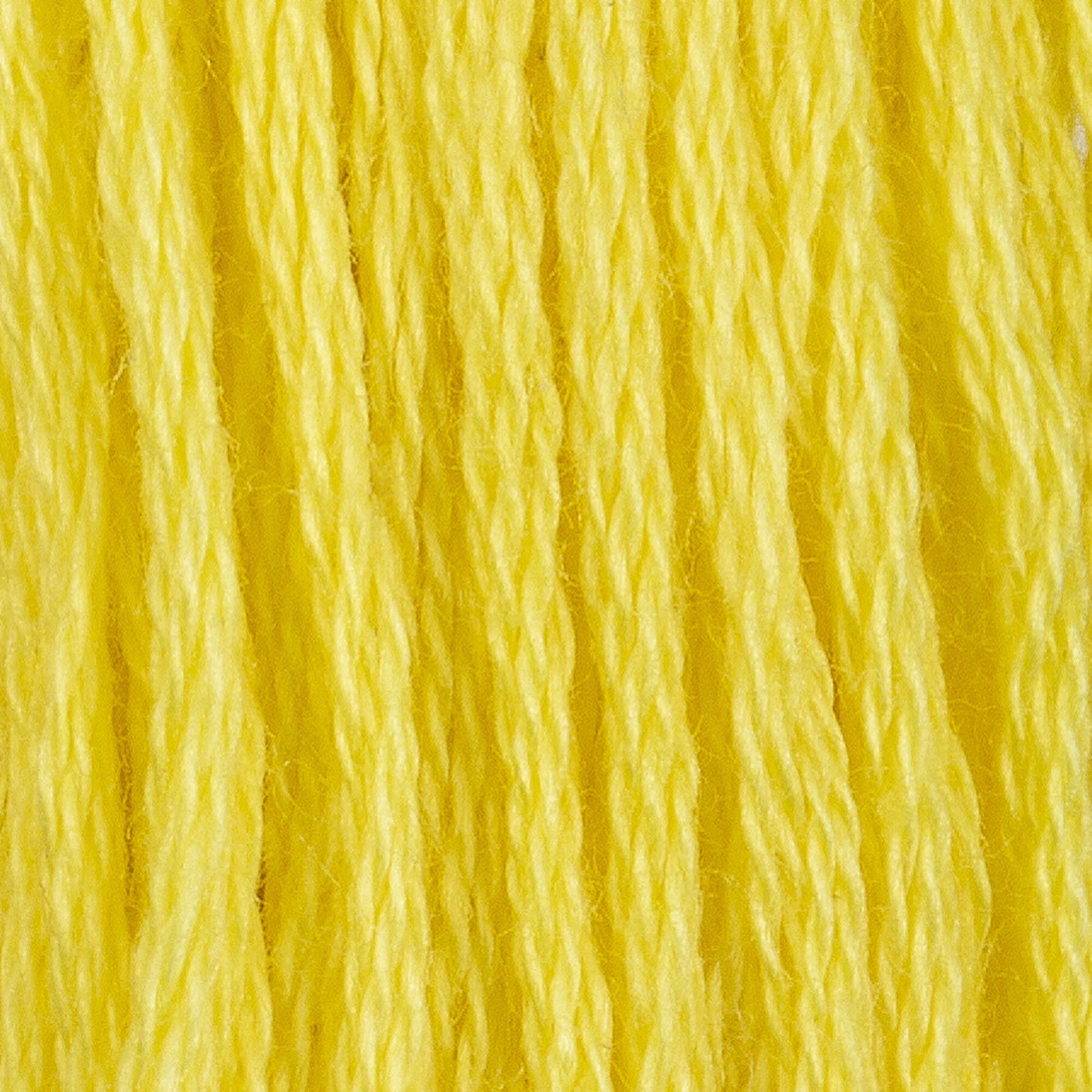 CC Cotton Embroidery Floss