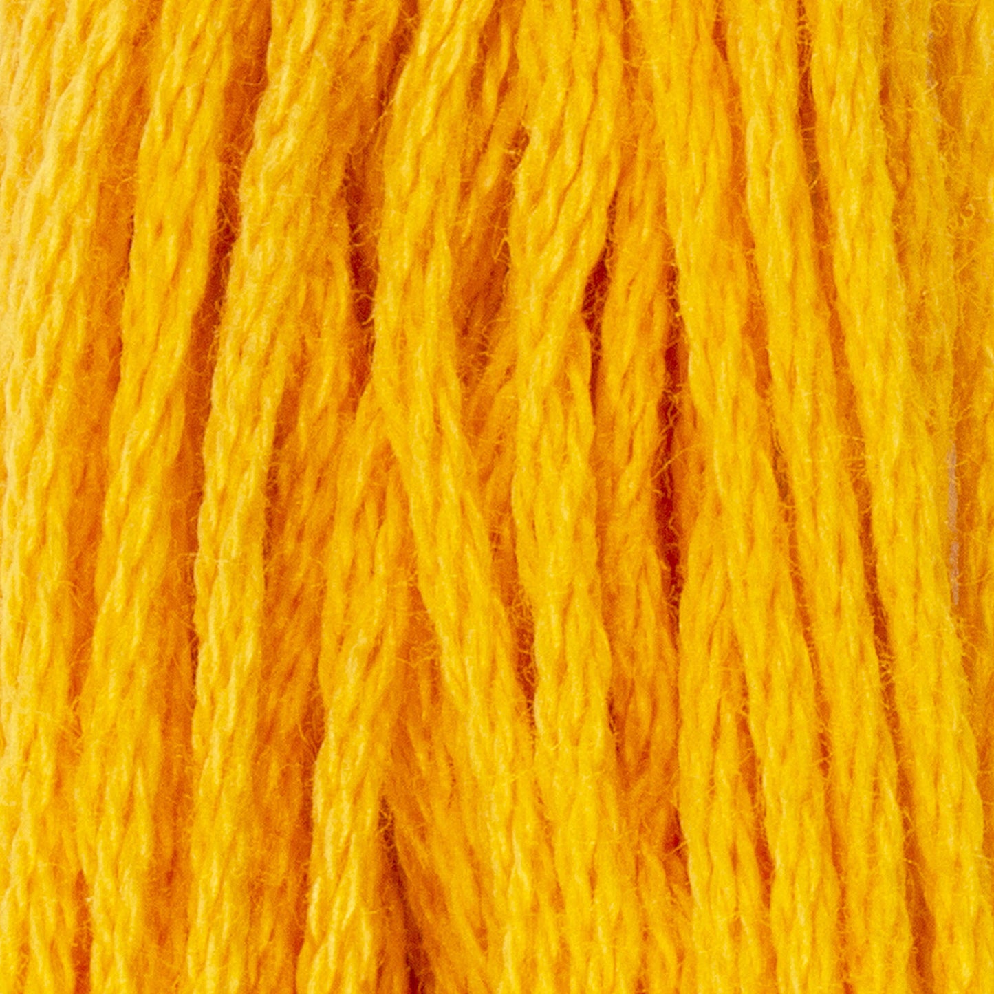 CC Cotton Embroidery Floss