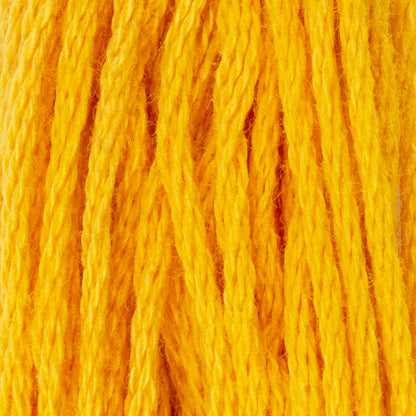 CC Cotton Embroidery Floss