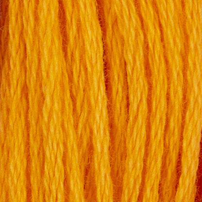 CC Cotton Embroidery Floss