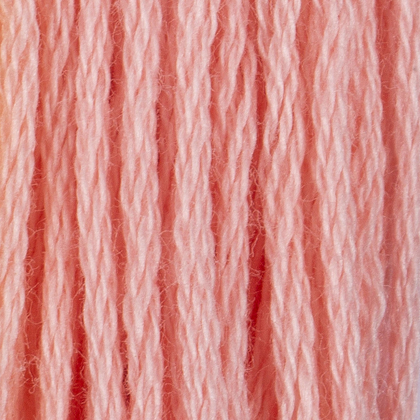 CC Cotton Embroidery Floss