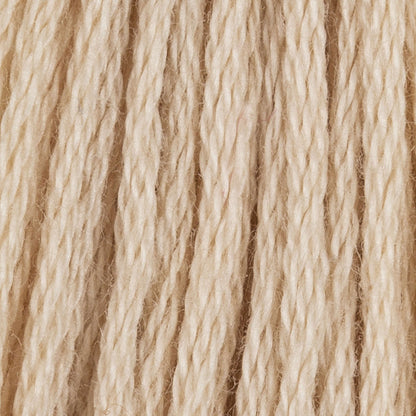 CC Cotton Embroidery Floss