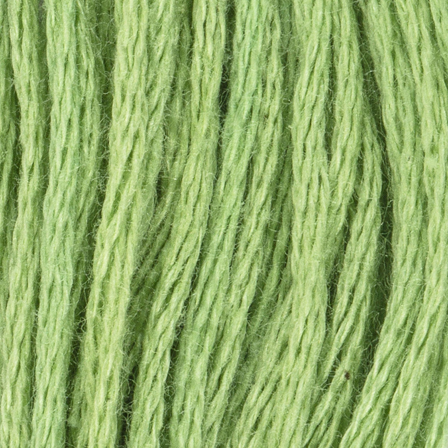 CC Cotton Embroidery Floss