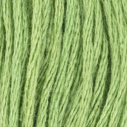CC Cotton Embroidery Floss