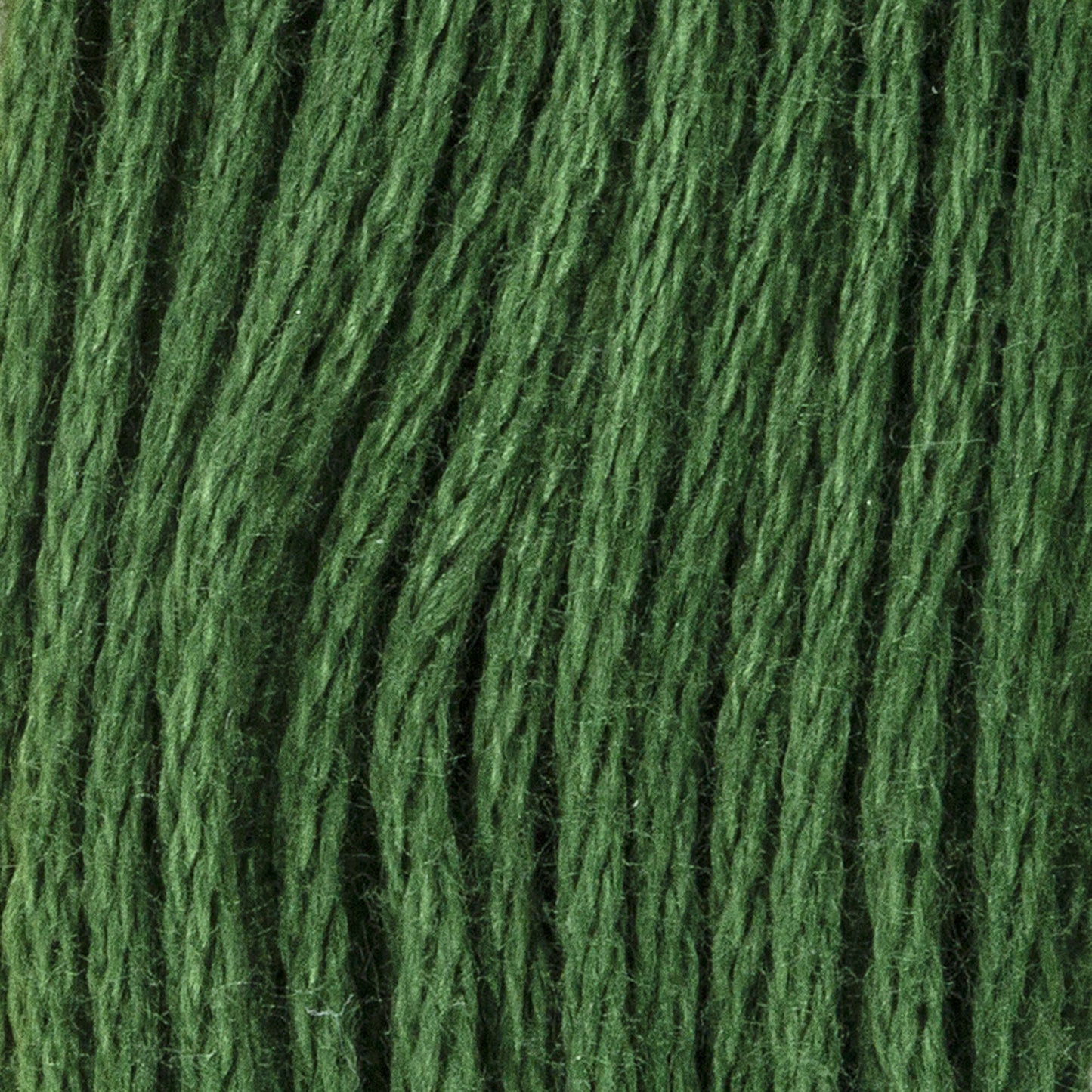 CC Cotton Embroidery Floss