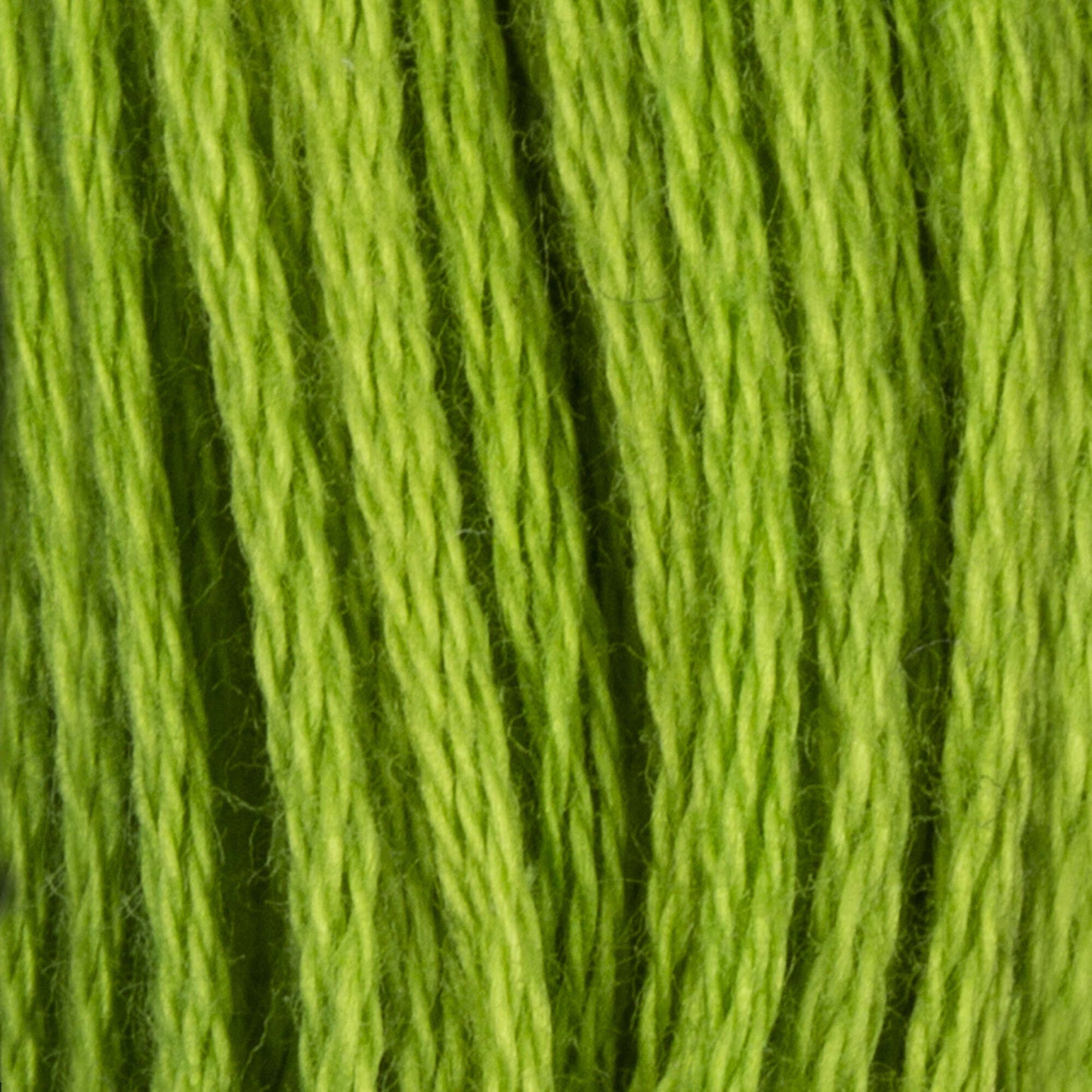 CC Cotton Embroidery Floss