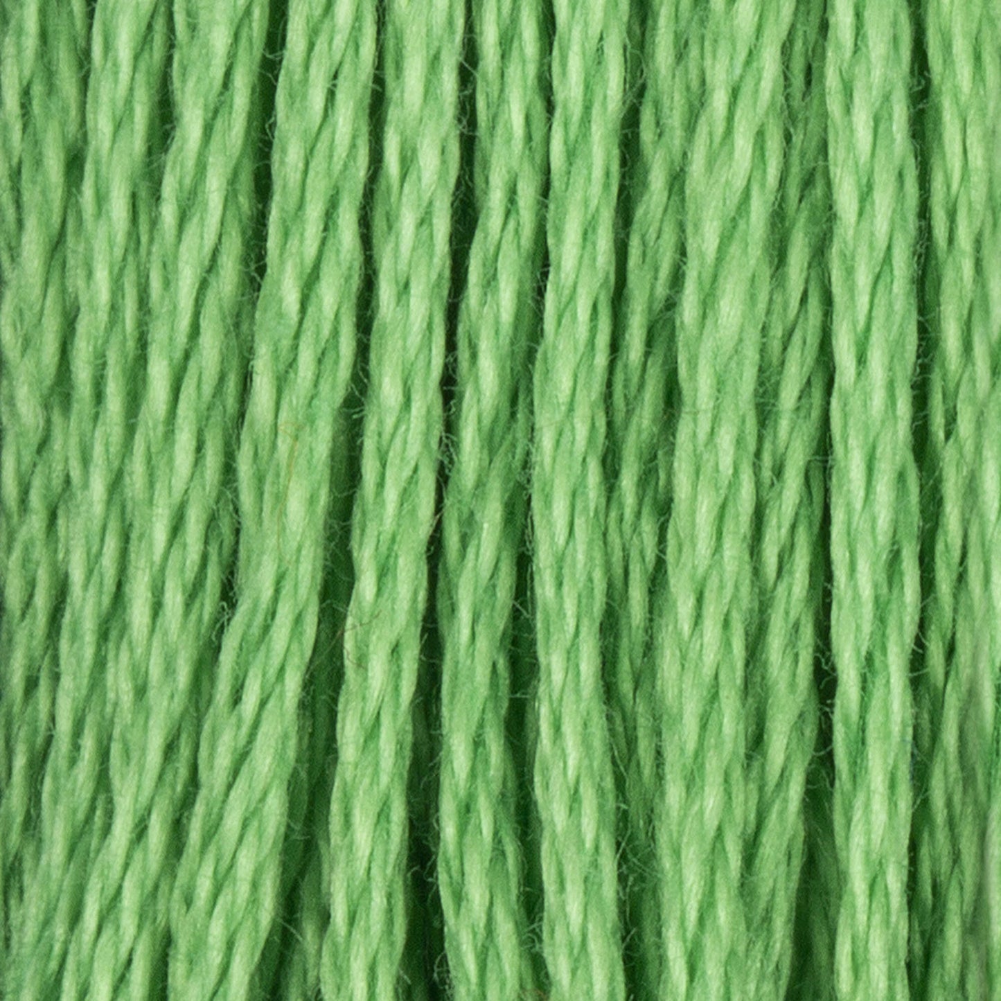 CC Cotton Embroidery Floss