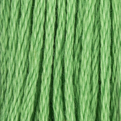 CC Cotton Embroidery Floss